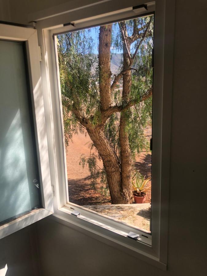 Casita Entre Vinedos, Experiencia Rural, Ideal Ninos. Tegueste Eksteriør billede