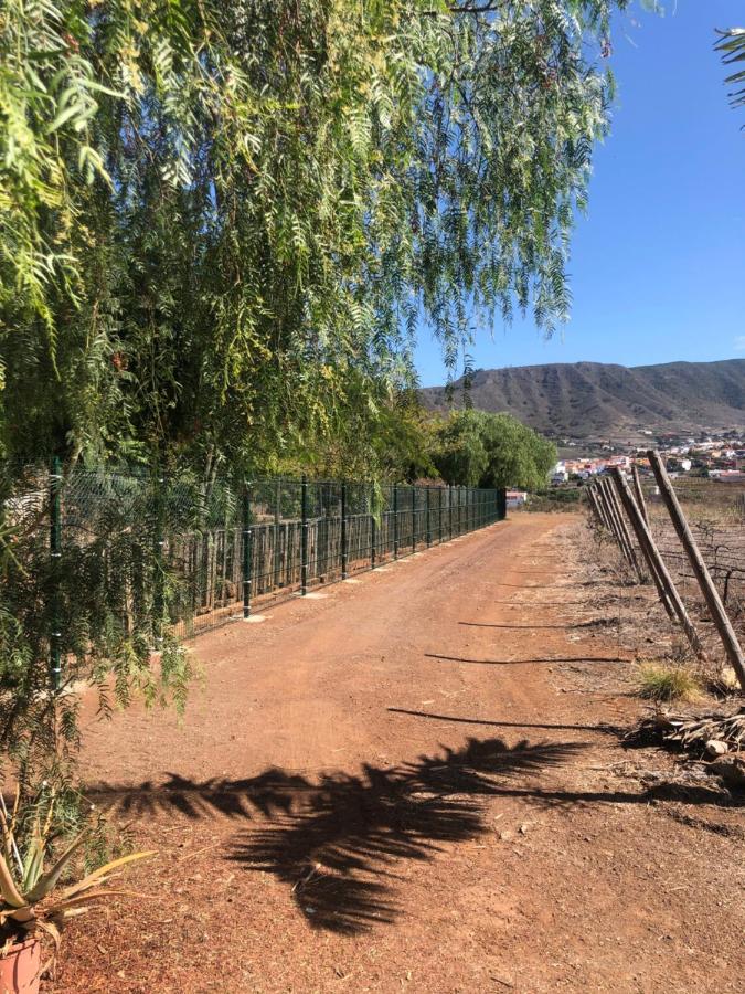 Casita Entre Vinedos, Experiencia Rural, Ideal Ninos. Tegueste Eksteriør billede