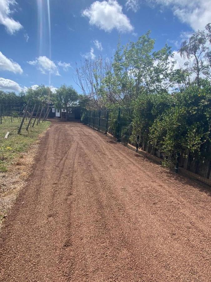 Casita Entre Vinedos, Experiencia Rural, Ideal Ninos. Tegueste Eksteriør billede