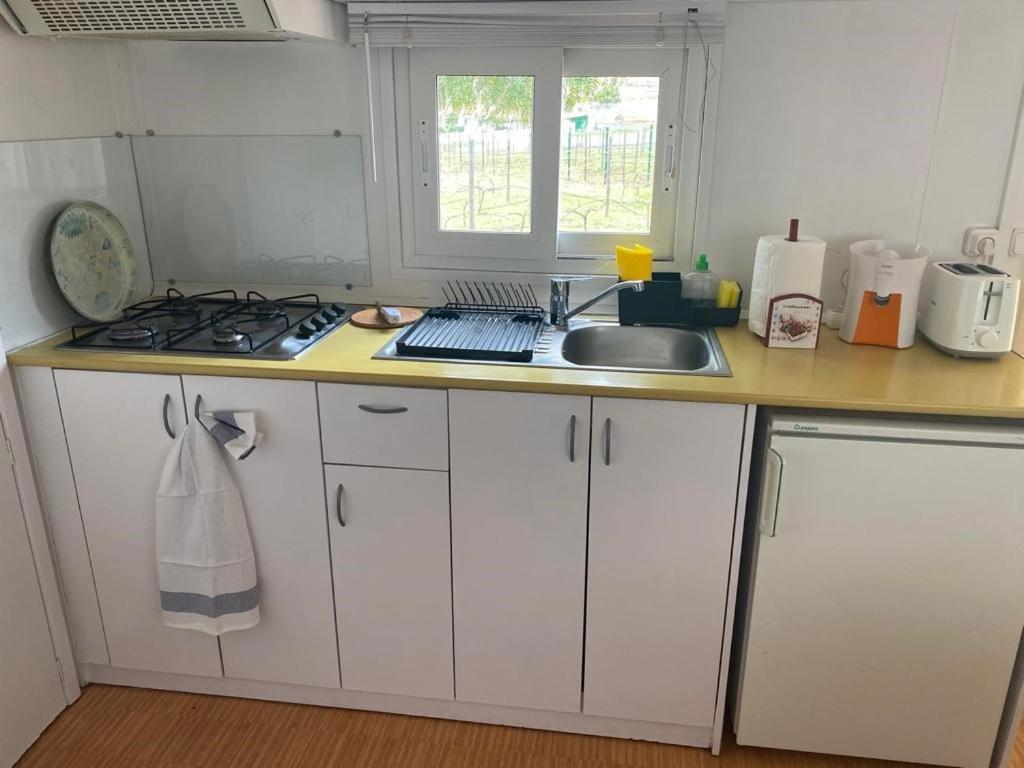 Casita Entre Vinedos, Experiencia Rural, Ideal Ninos. Tegueste Eksteriør billede