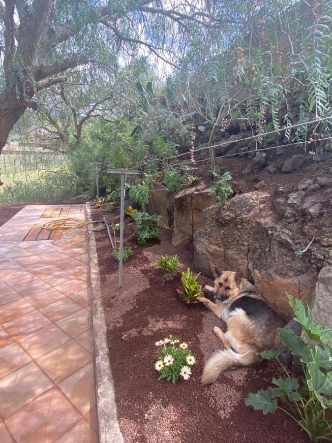Casita Entre Vinedos, Experiencia Rural, Ideal Ninos. Tegueste Eksteriør billede