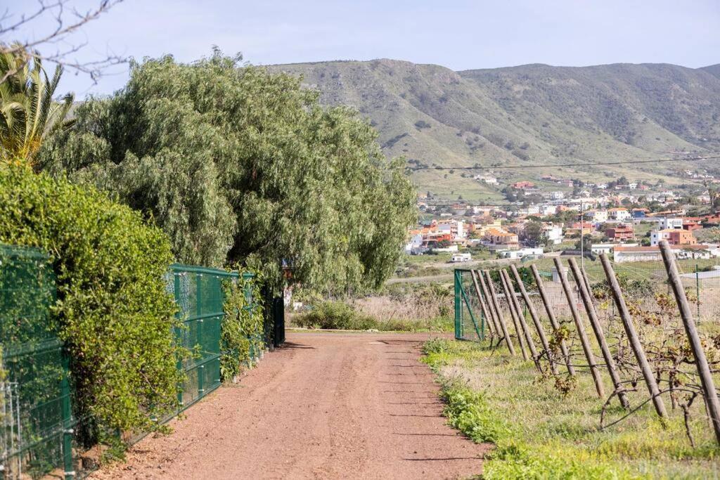Casita Entre Vinedos, Experiencia Rural, Ideal Ninos. Tegueste Eksteriør billede