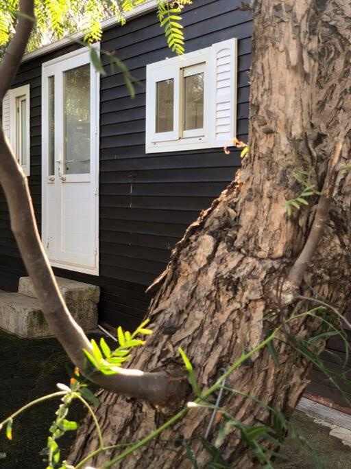 Casita Entre Vinedos, Experiencia Rural, Ideal Ninos. Tegueste Eksteriør billede