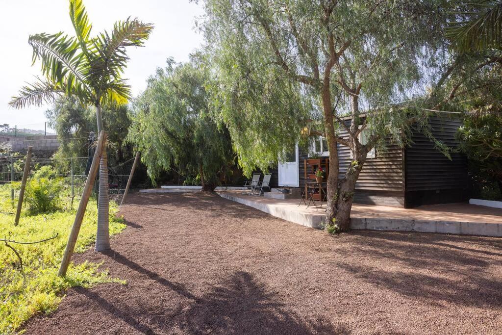 Casita Entre Vinedos, Experiencia Rural, Ideal Ninos. Tegueste Eksteriør billede