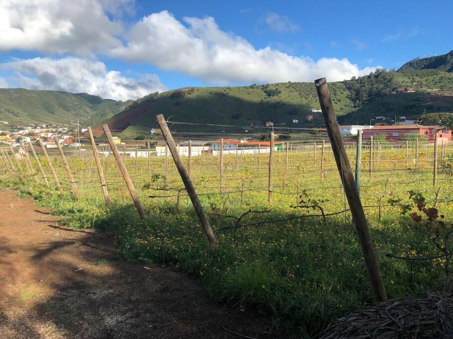 Casita Entre Vinedos, Experiencia Rural, Ideal Ninos. Tegueste Eksteriør billede